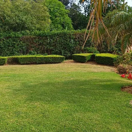 Sol Da Rocha Blue Horizon Apartamento